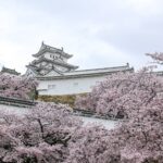 Travel Jepang Terpercaya