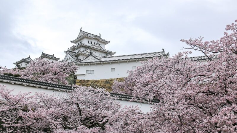 Travel Jepang Terpercaya dengan Layanan Profesional